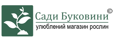 Сади Буковини