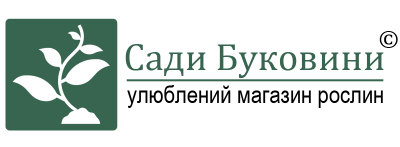 Сади Буковини